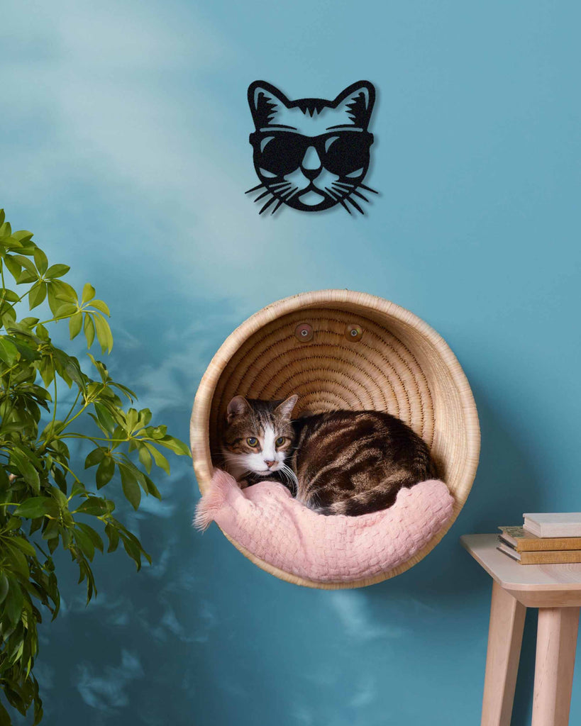 A cat silhouette metal wall art in matte black, mounted on a blue wall above a cat resting in a bowl.